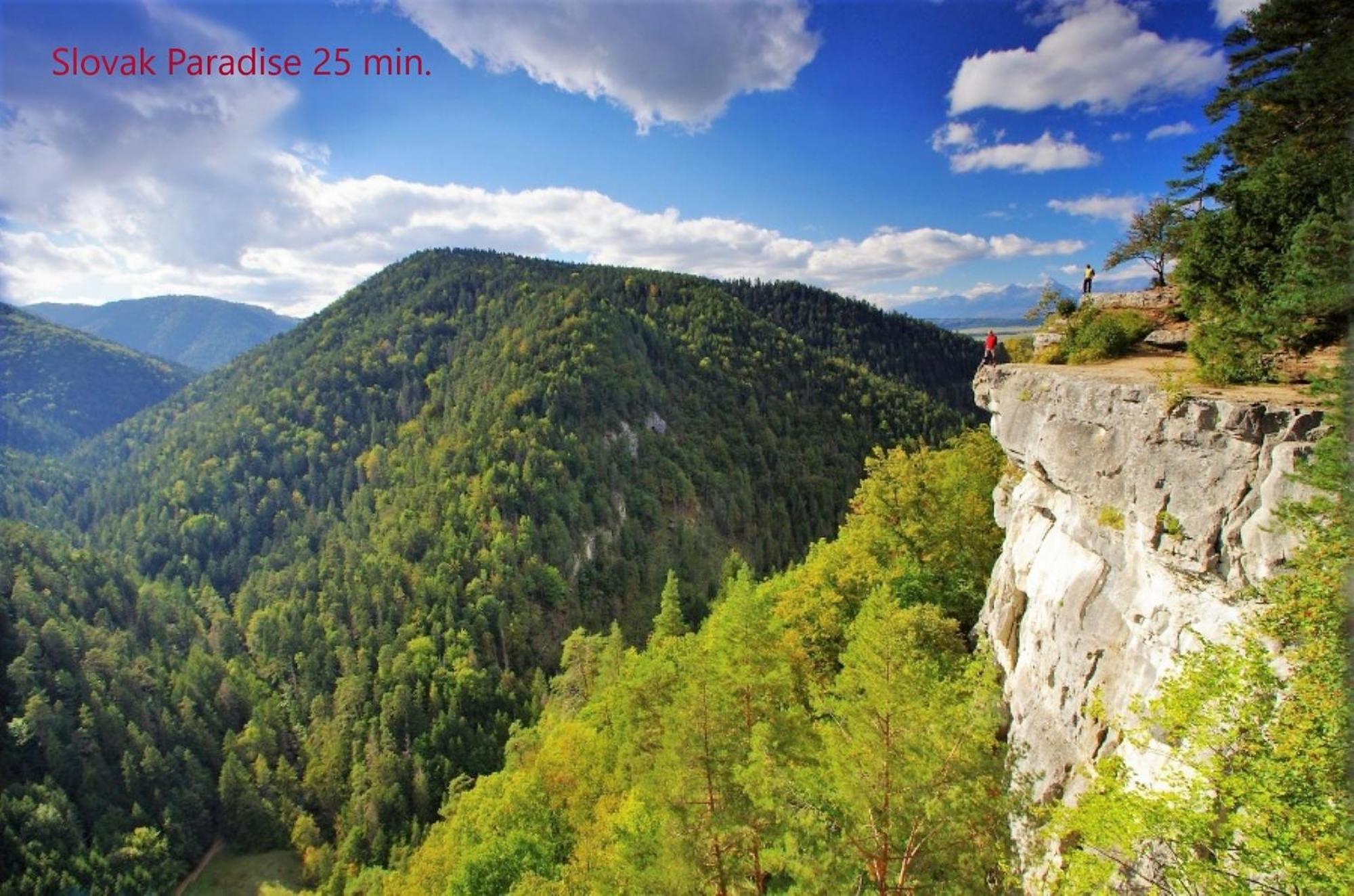 Tatrystay Cactus Premium Villa High Tatras Private Wellness Stará Lesná Esterno foto